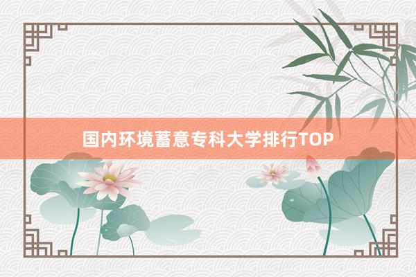 国内环境蓄意专科大学排行TOP