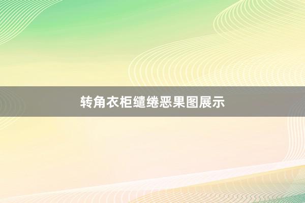 转角衣柜缱绻恶果图展示