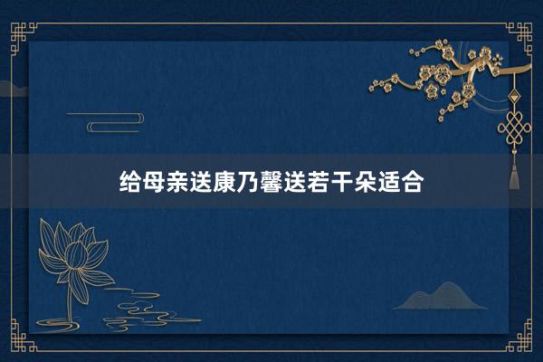 给母亲送康乃馨送若干朵适合