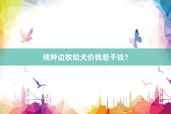 纯种边牧幼犬价钱若干钱？